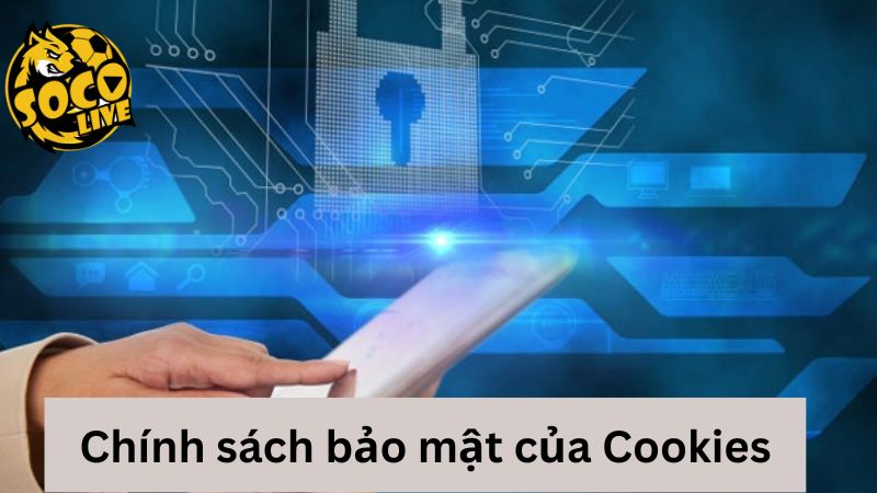 Điều khoản về bảo mật đối với các cookies
