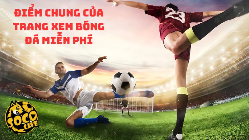 Đánh giá điểm chung của trang xem bóng đá miễn phí