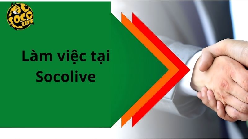 Lợi ích nhận được khi làm việc tại Socolive