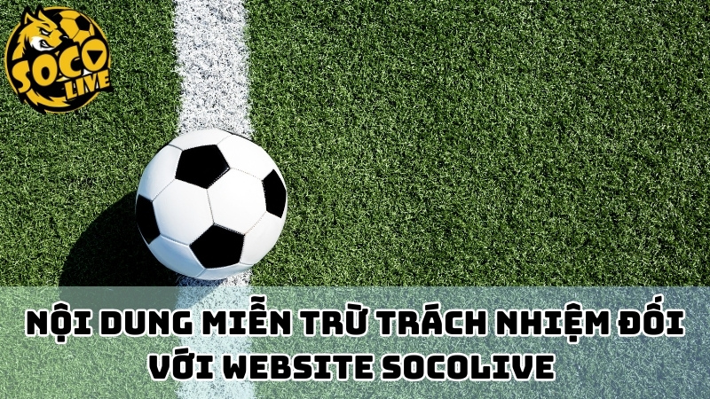 Nội dung về các trường hợp miễn trách nhiệm của website